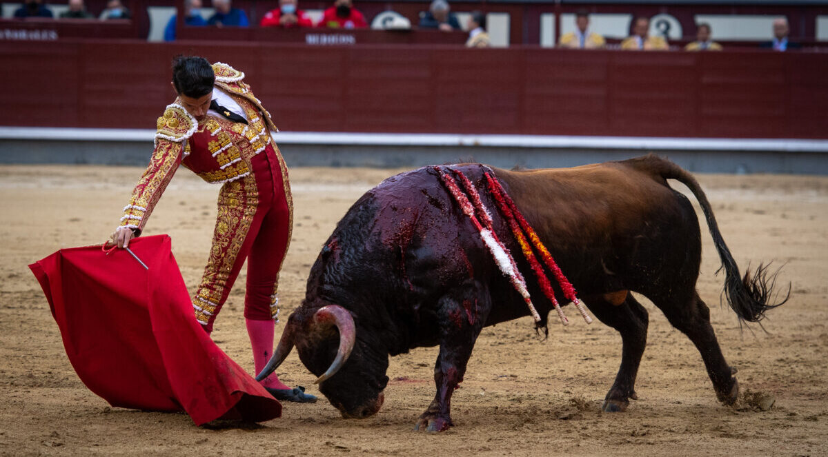 Carlos Aranda, operado con éxito de su grave lesión en el hombro derecho