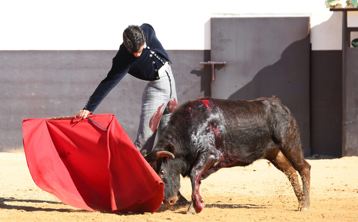 Tomás Rufo: "Tengo mi punto, no de locura pero sí de rareza"
