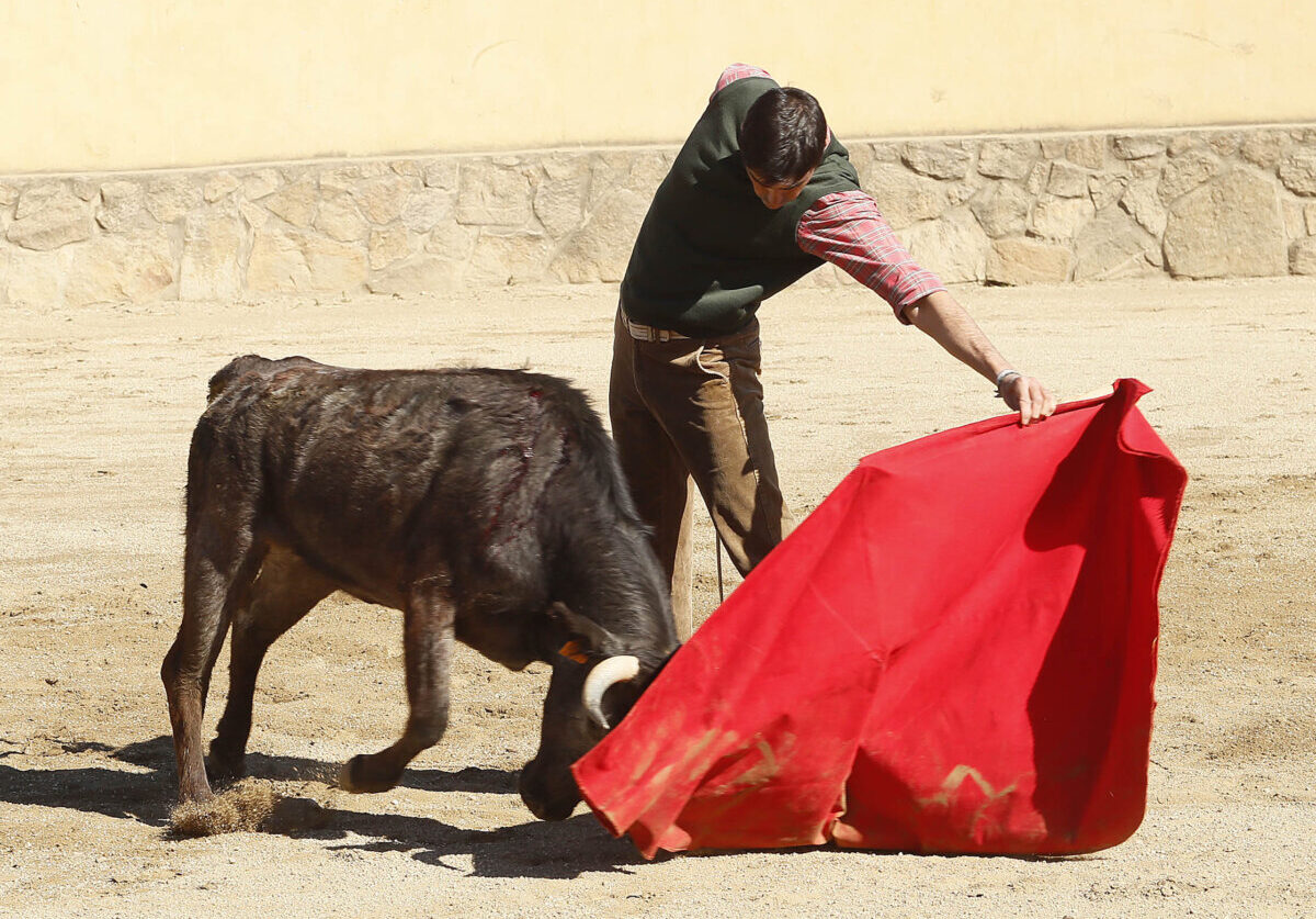 Perera y De Justo velan armas en Victorino ante su mano a mano en Castellón