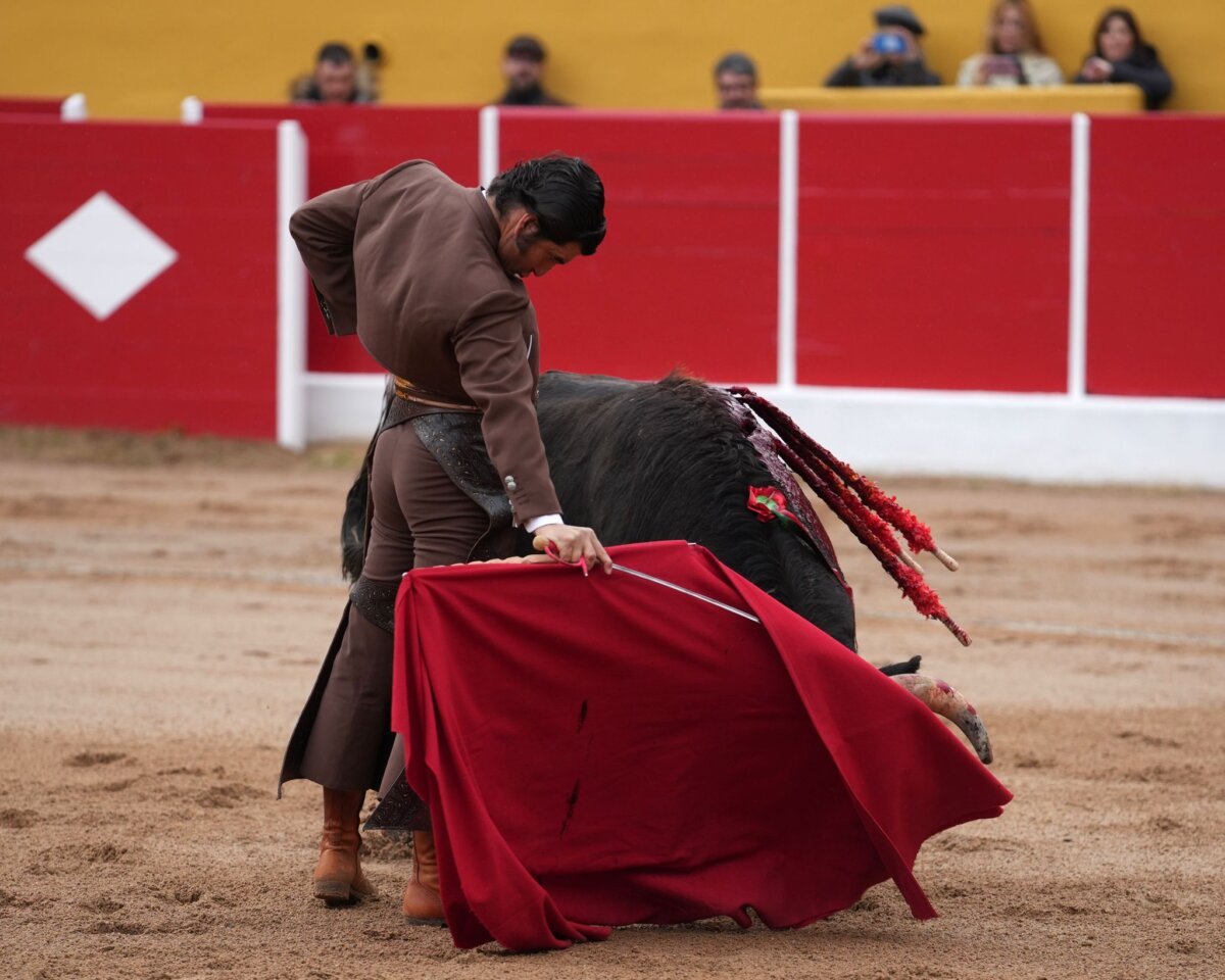 Morante, Ginés Marín, Jorge Isiegas y Javier Poley se reparten ocho orejas en Ricla