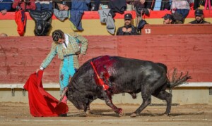 Morante, en su última actuación en Castellón. Foto: Vicent Canelles
