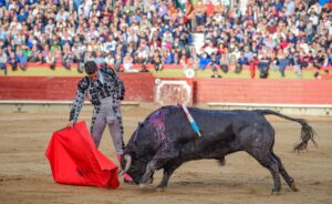 Manzanares estuvo a gran nivel. Foto: Vicent Canelles