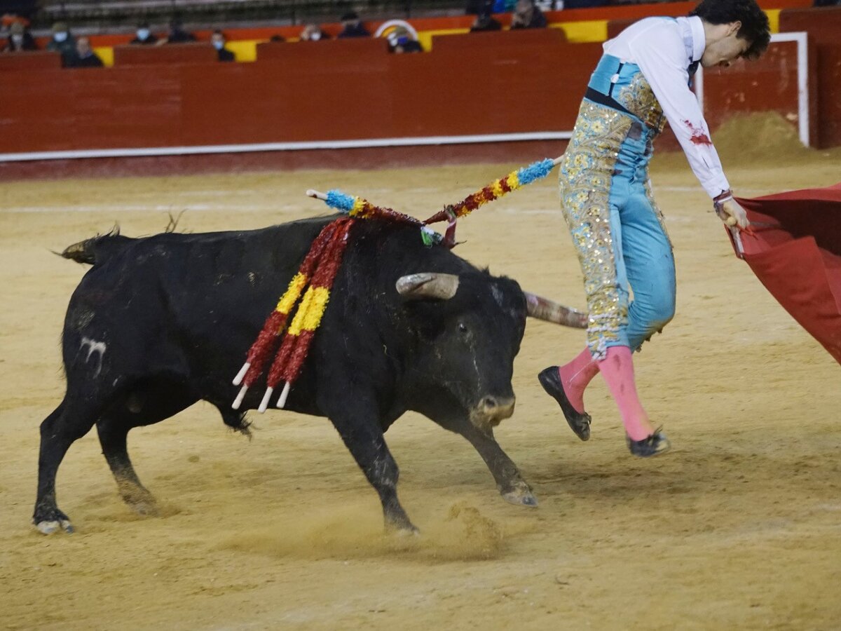 Manuel Perera, volteado por el sexto en Valencia