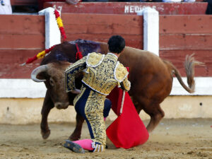 "El salto que ha dado la tauromaquia hacia el toreo-arte ha sido gigantesco". Foto: Arjona