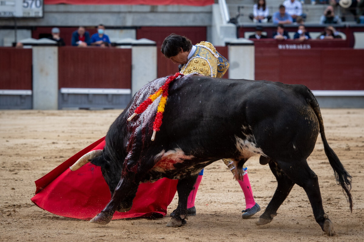 "Aroma de Curro Díaz en Madrid y petardo de Juan Pedro en Sevilla"