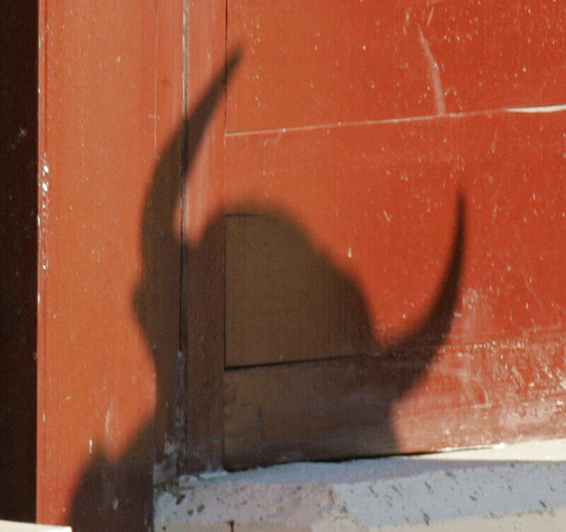 Un desafío ganadero entre Dolores Aguirre y Araúz de Robles, en el centenario de Valencia de Don Juan