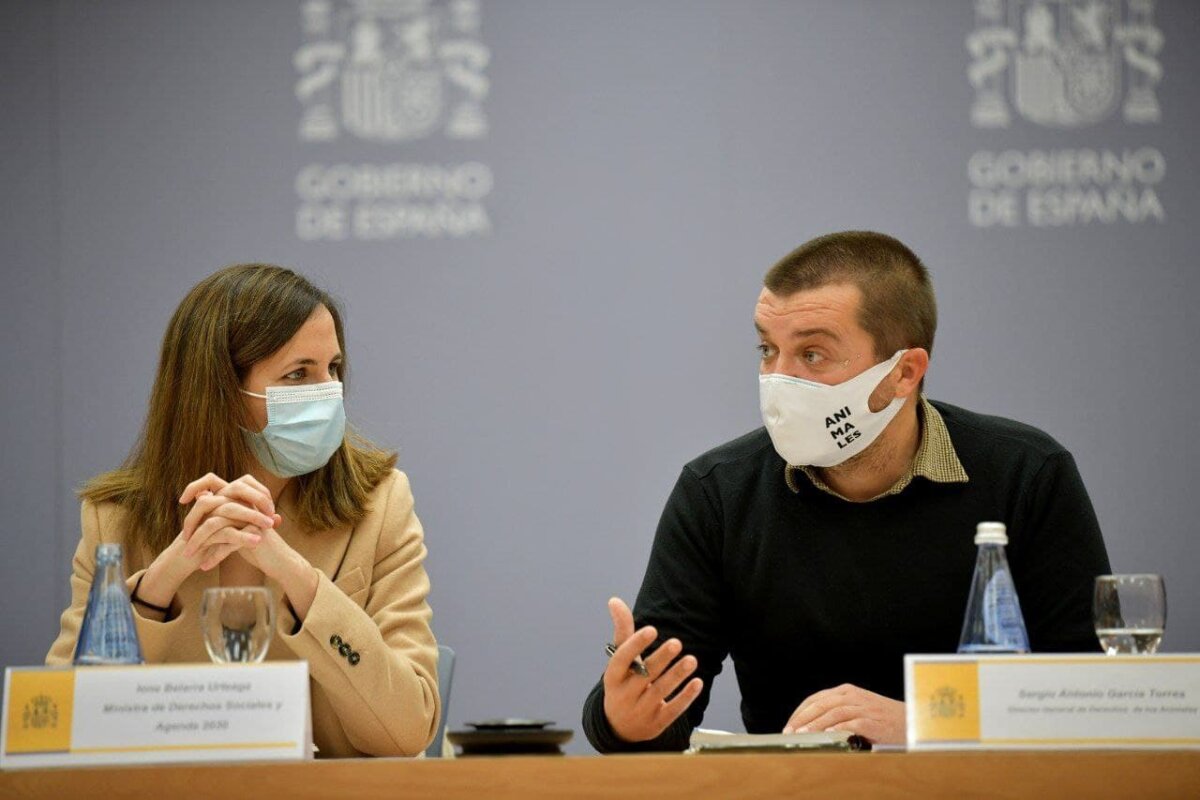 "Cuando la burra no sabe qué hacer con el rabo mata moscas"