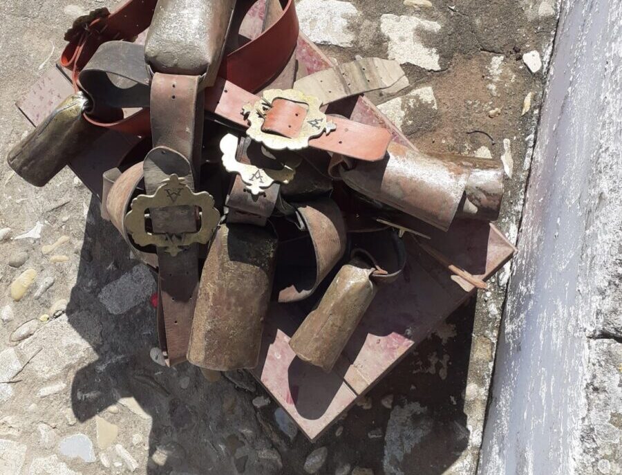 La razón por la que los bueyes de Torrealta no llevan el cencerro