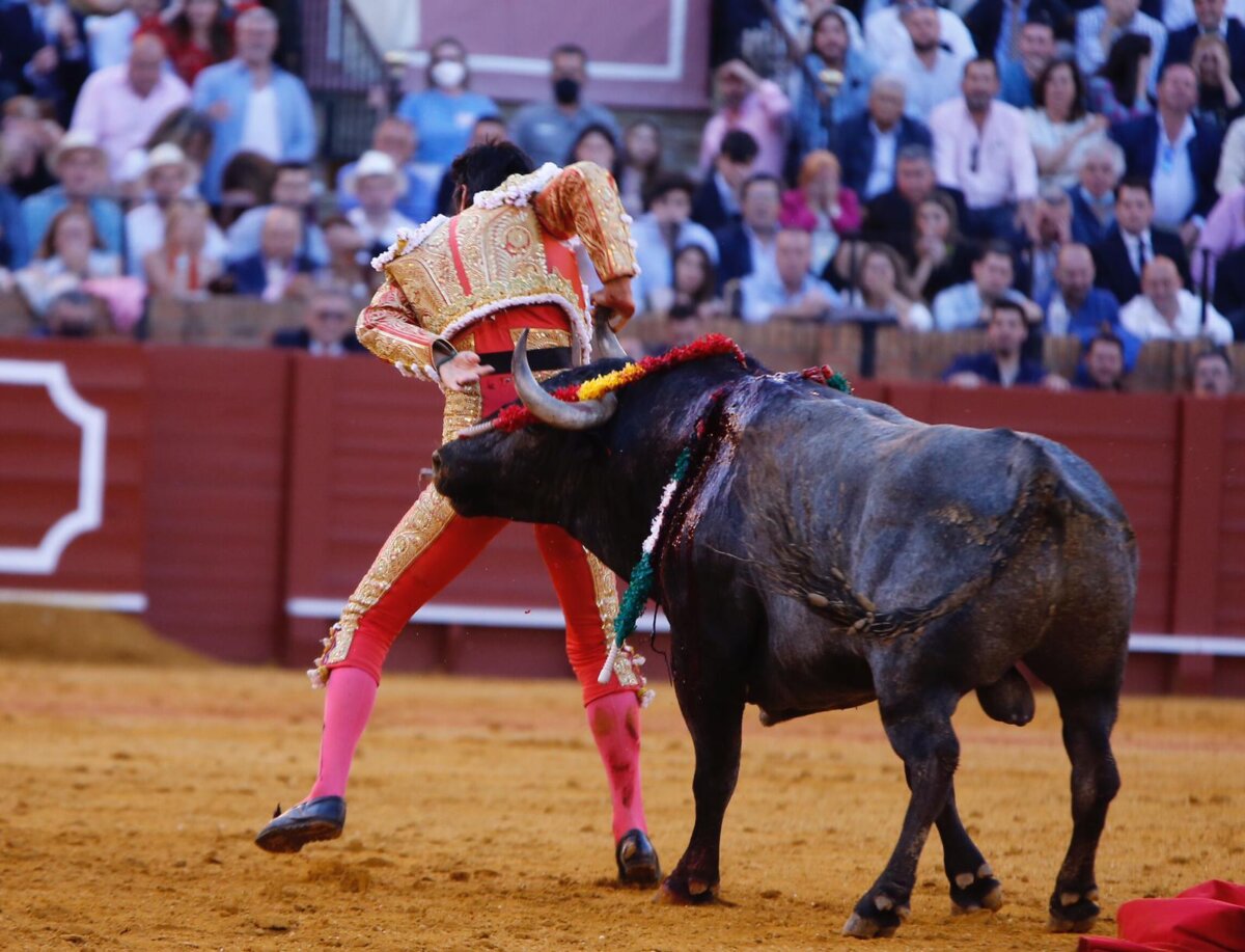 Miguel Ángel Perera recibe el alta hospitalaria y seguirá su recuperación en casa