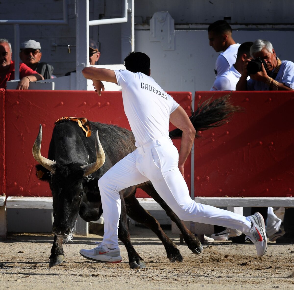 Gran ambiente en la Corrida Camarguesa de Arles