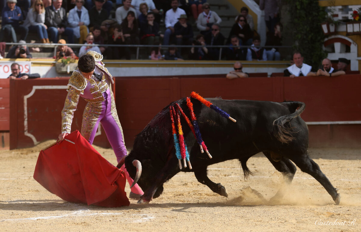 Yon Lamothe repite éxito en su tierra y Jorge Martínez impacta
