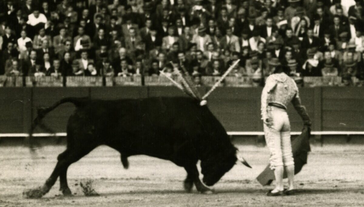 El Ayuntamiento de Sevilla prolonga la exposición sobre Pepe Luis Vázquez