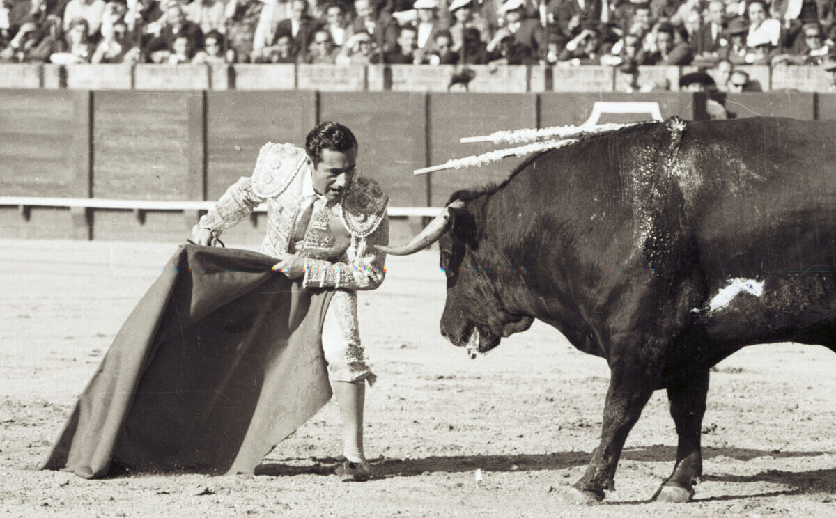 El Litri, torero y hombre: "El mundo pierde mucho con la marcha de gente tan maravillosa"
