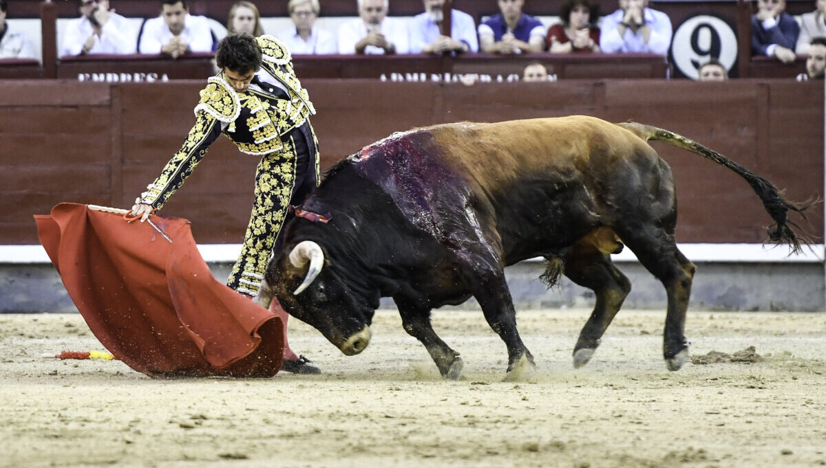 Isaac Fonseca y Álvaro Burdiel convencen con los interesantes mayaldes en Madrid