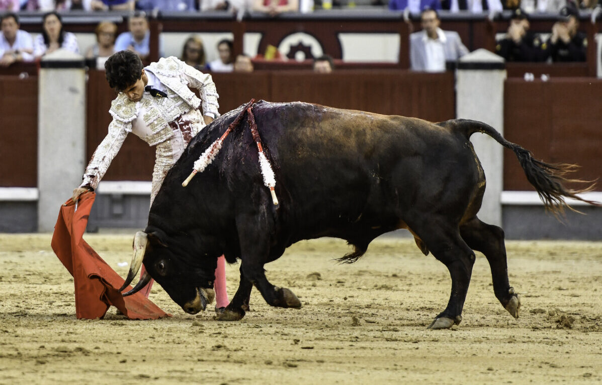 "Gran tarde de Fuente Ymbro en Madrid con un sexto de bandera"