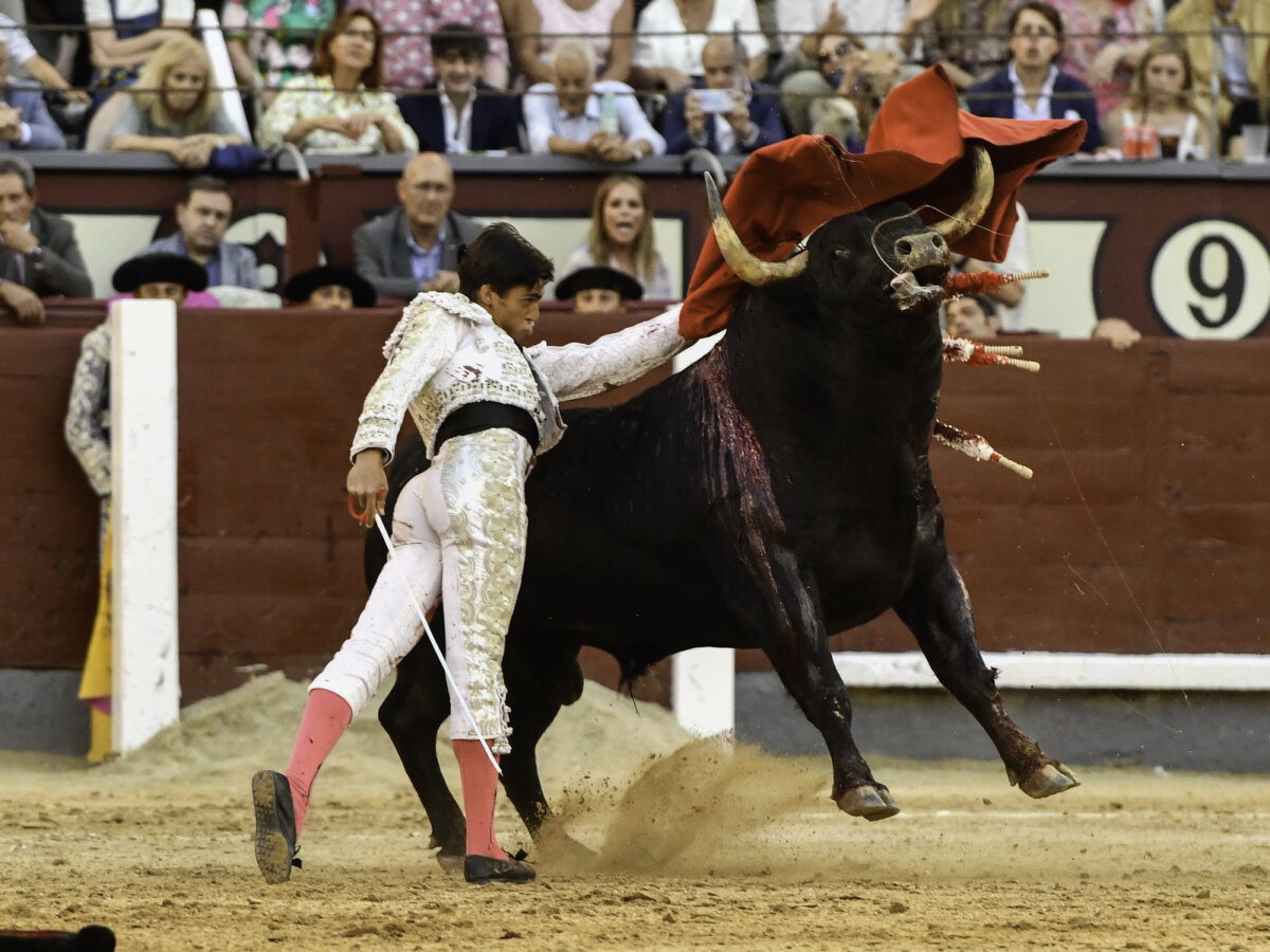 “Rufo ya tiene pareja para reventar entre los dos las plazas de España: se llama Ángel Téllez”