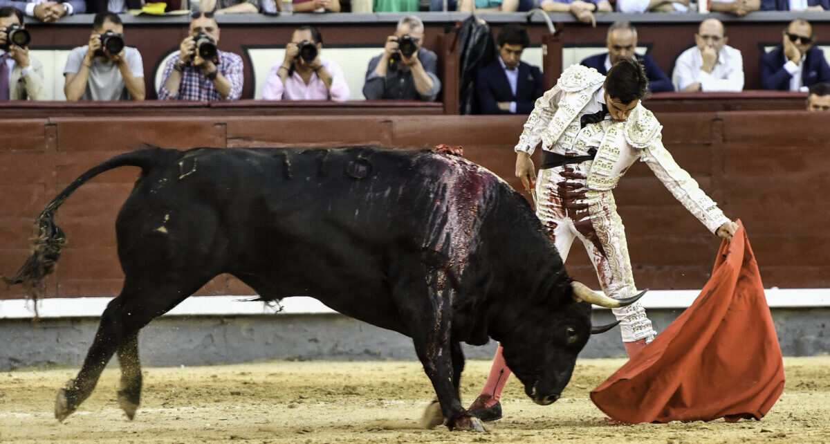 Ángel Téllez: "El toro es un mundo muy difícil pero no caben las casualidades"