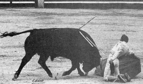 Palomo Linares corta el rabo a Cigarrón en Las Ventas