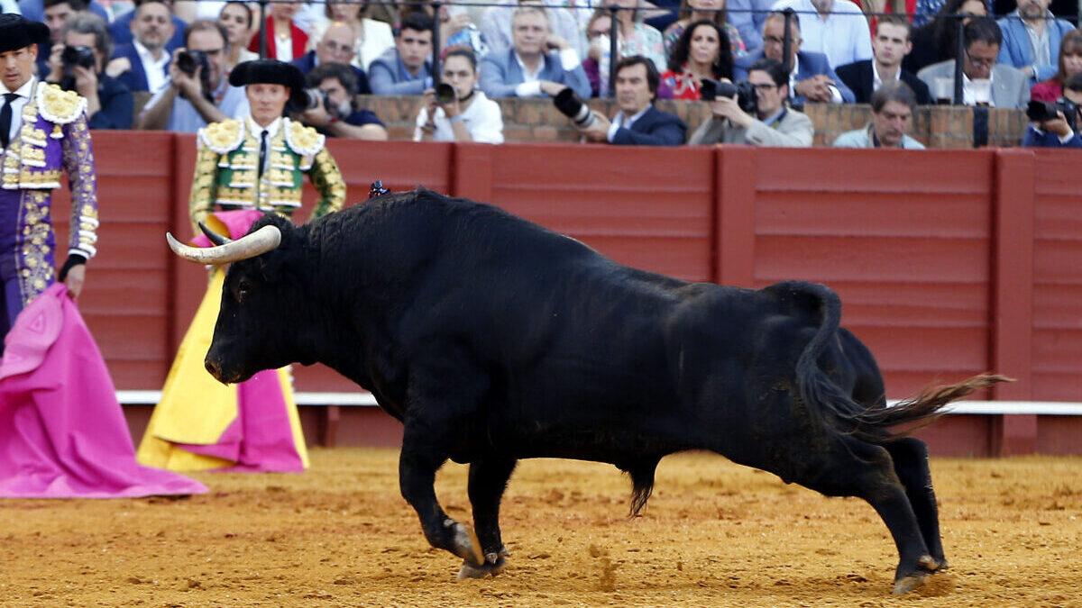 En Sevilla hubo toros y to-re-ros