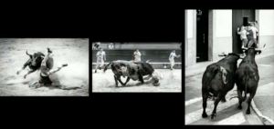 Las tres fotos con las que Manolo Navarro ha ganado el premio.