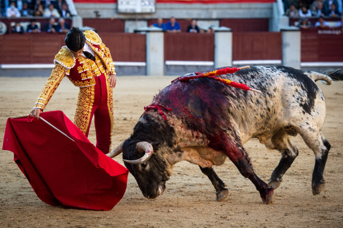 "Tarde de plomo en Las Ventas"