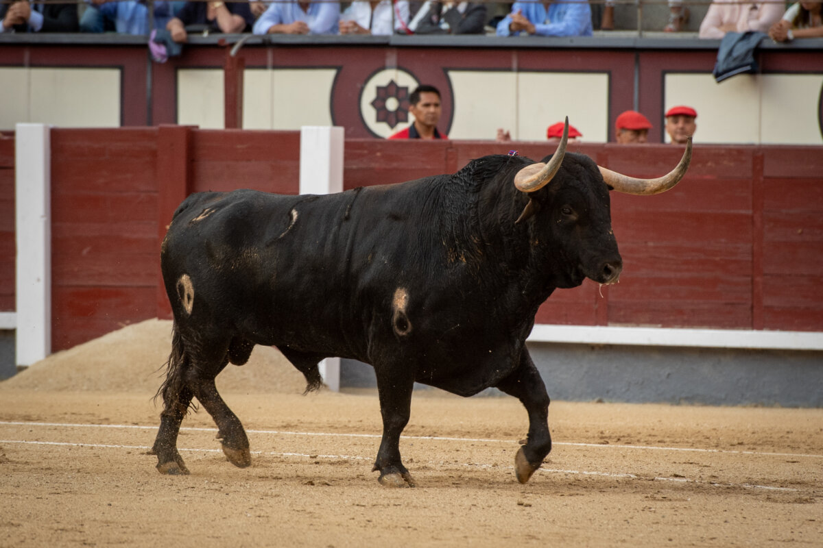 "Tarde de terror con los samueles"