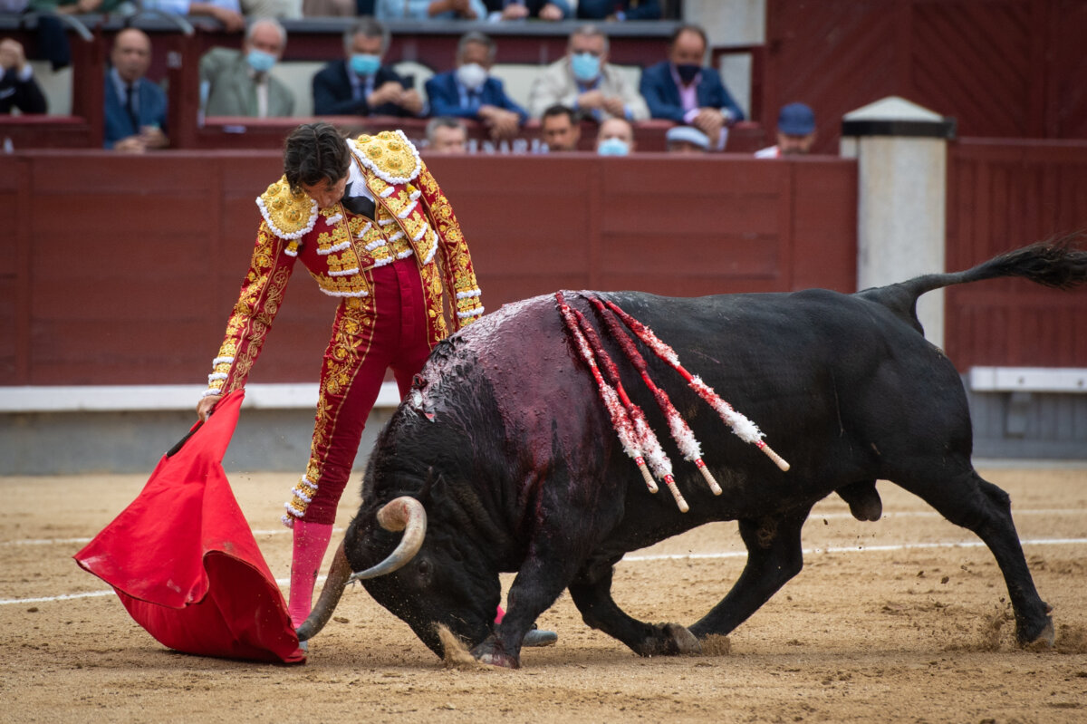 "A Curro Díaz lo han encasillado como un torero de arte, pero eso es una falacia"