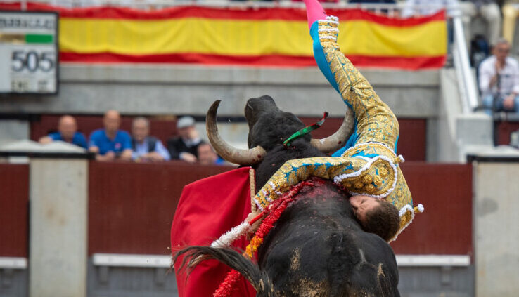 Ginés Marín, "cornada de dos trayectorias de 25 y 20 cm con orificio de salida en cara lateral del muslo"