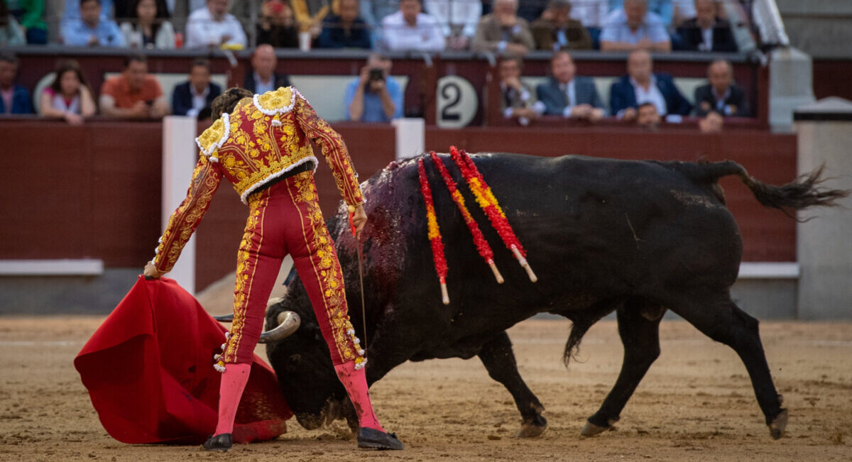 "Naturales de ensueño, regalo de Curro Díaz a San Isidro"