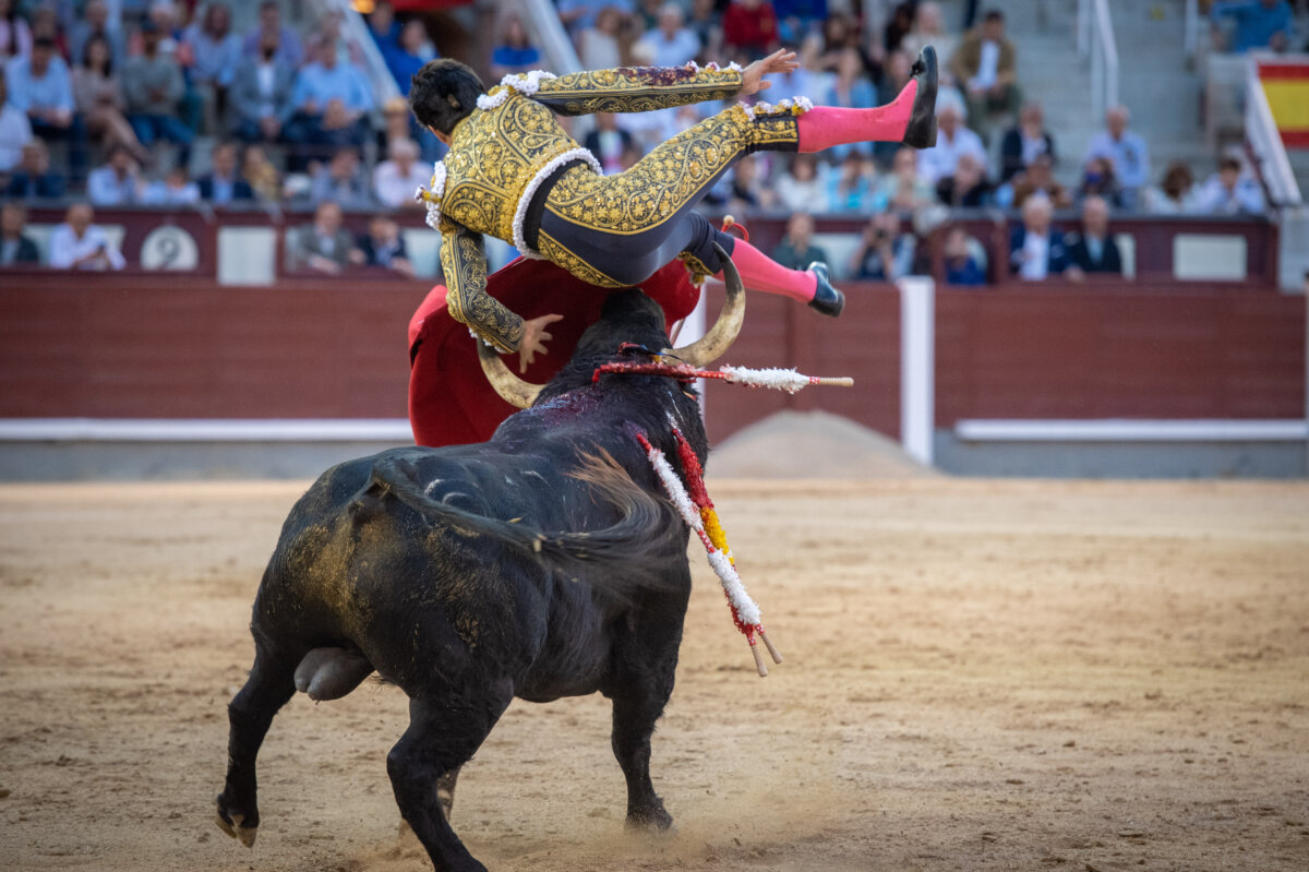 Álvaro Lorenzo, "herida por asta de toro con trayectoria ascendente de 15 cm"