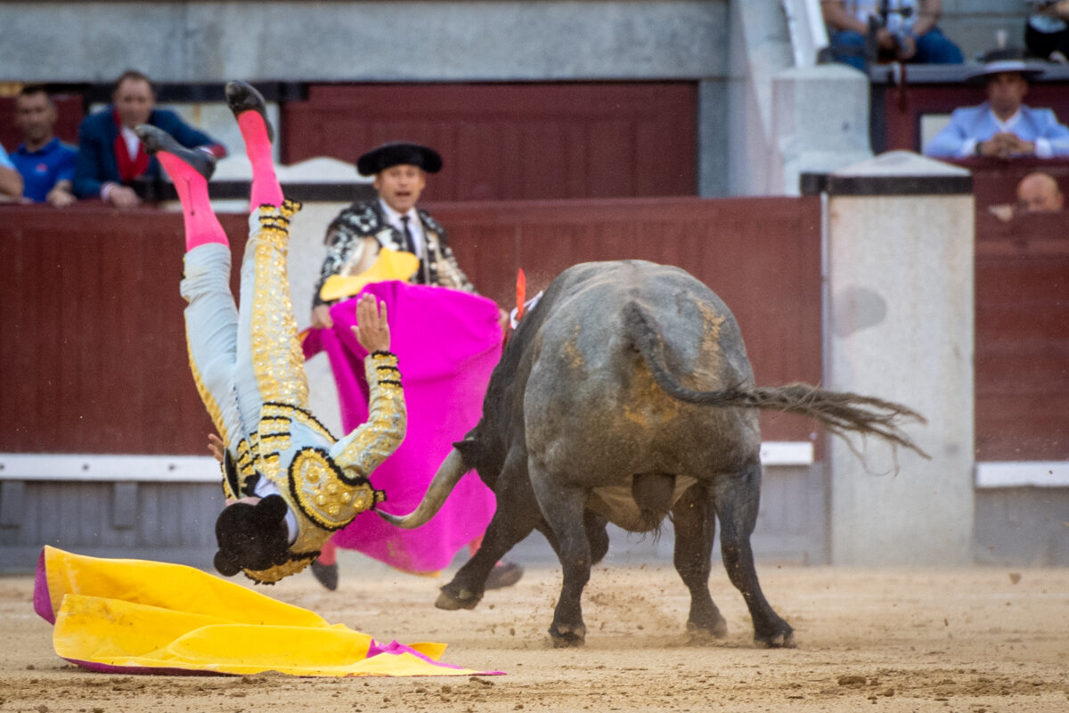 Gómez del Pilar, herido de una "cornada en región glútea izquierda de 20 centímetros"
