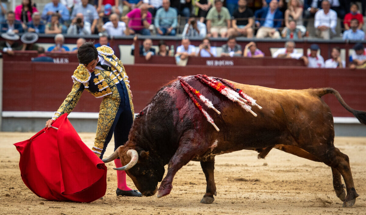 Disposición de la terna y un importante Huracán en Madrid