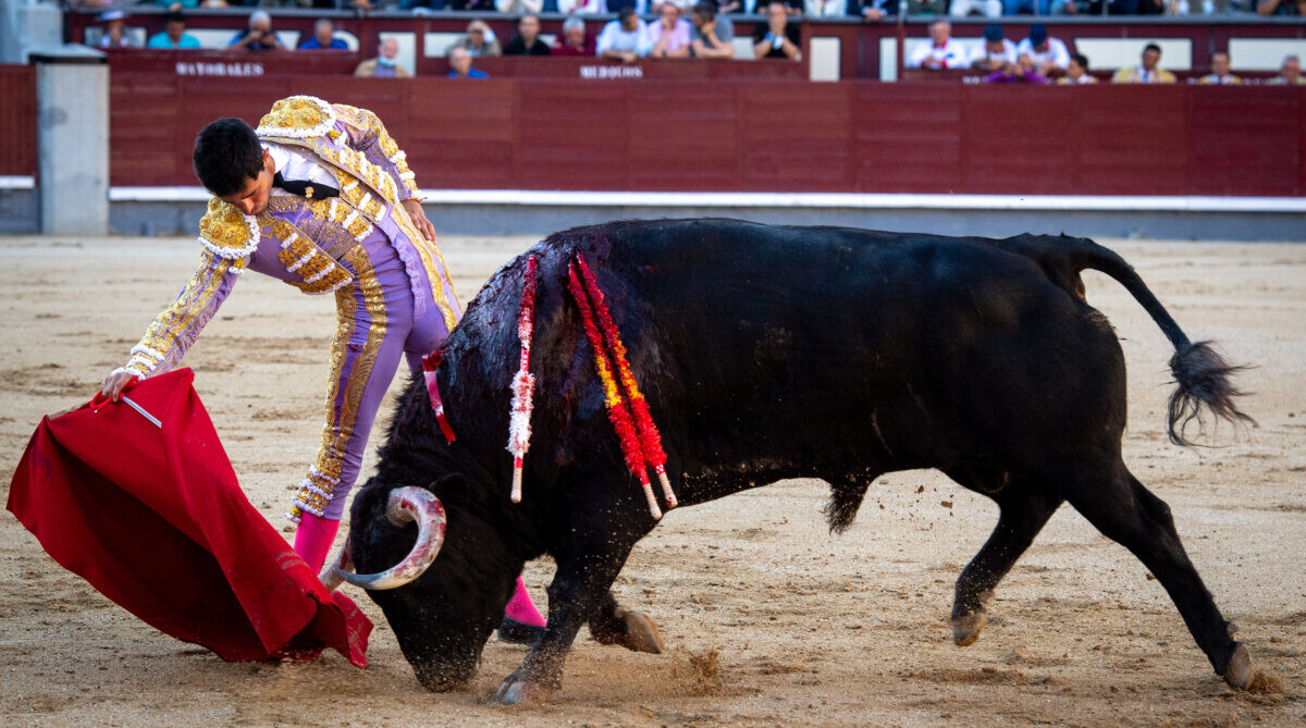 "No existe la casualidad en la plaza de las Ventas de Madrid"