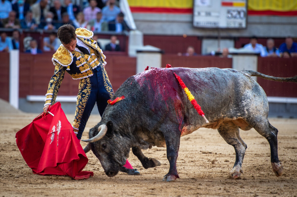 "Pura casta de un Juli que lo ha dado todo con una entrega absoluta"
