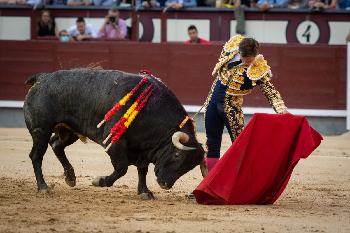 El Juli o cuando la técnica llega al corazón