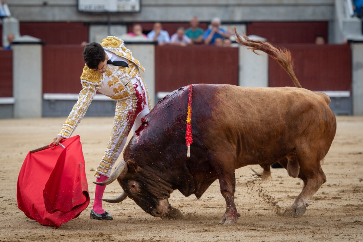 Juli y Rufo se disparan en la bolsa de Madrid
