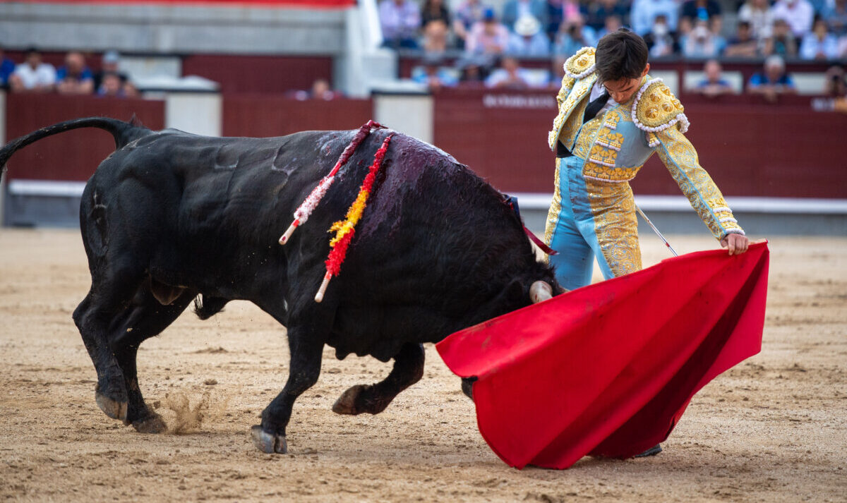 El oficio de la terna, lo más destacado de la tarde de Madrid