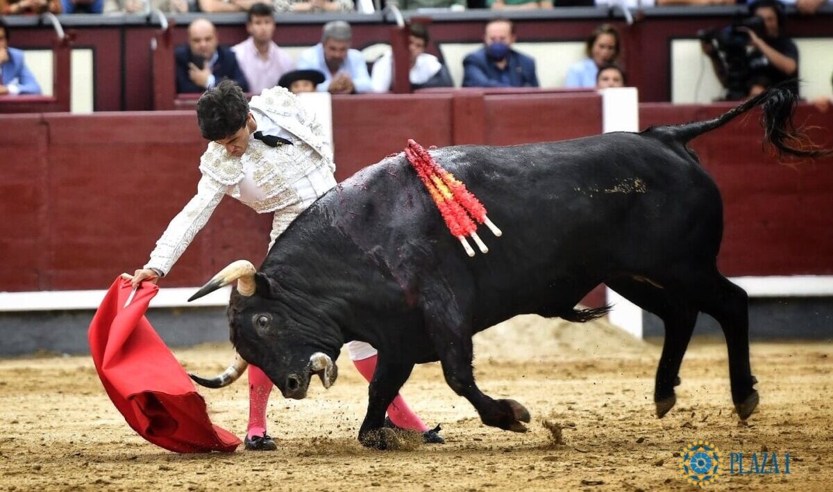 "Cómo sería la tarde de Fuente Ymbro que un aficionado del 7 gritó: “¡Ganadero, enhorabuena!"