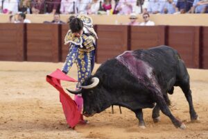 Capitán-48, el cuadri que generó miedo en los tendidos de Osuna.