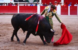 Foto: Suertematador