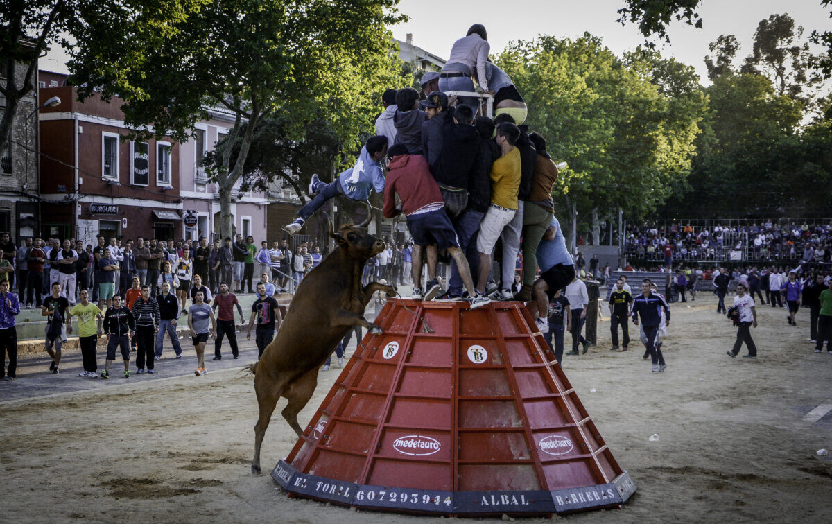 El Ayuntamiento de Bétera deja sin bous al carrer a su pueblo: “Han jugado con nosotros”