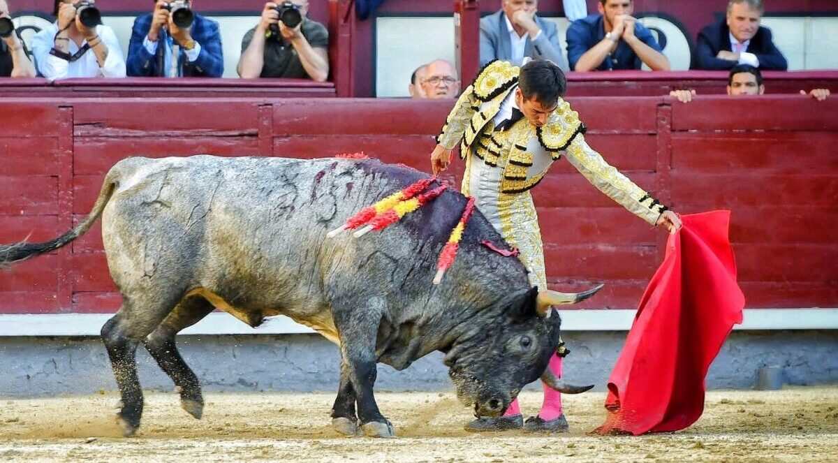 Gómez del Pilar, cara y cruz ante la peligrosa corrida de Escolar en Madrid
