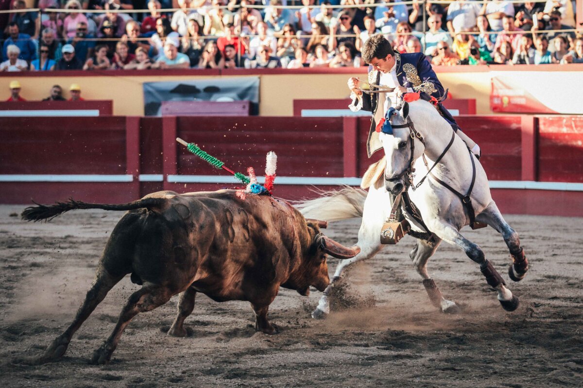Joao Moura hijo vuelve a triunfar en las Sanjoaninas