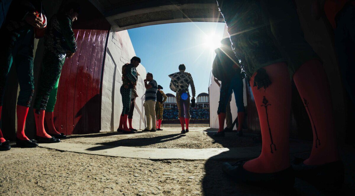Valdepeñas celebrará el 150º aniversario de su plaza con una corrida concurso de ganaderías