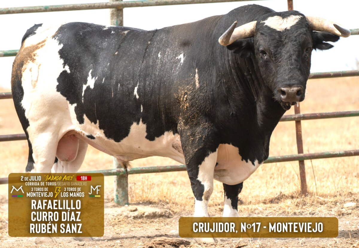 Entipados los de Monteviejo y Los Maños para el desafío de Soria