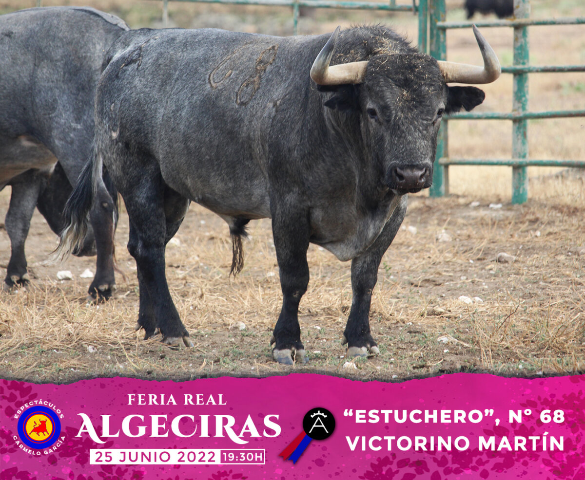 Seria corrida de Victorino Martín para su regreso a Algeciras