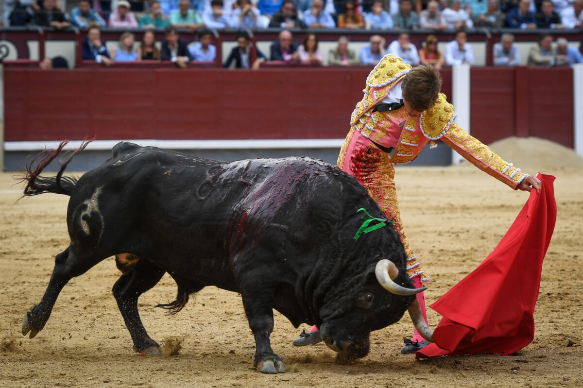 "Juan Leal tiene valor, del bueno, por toneladas"