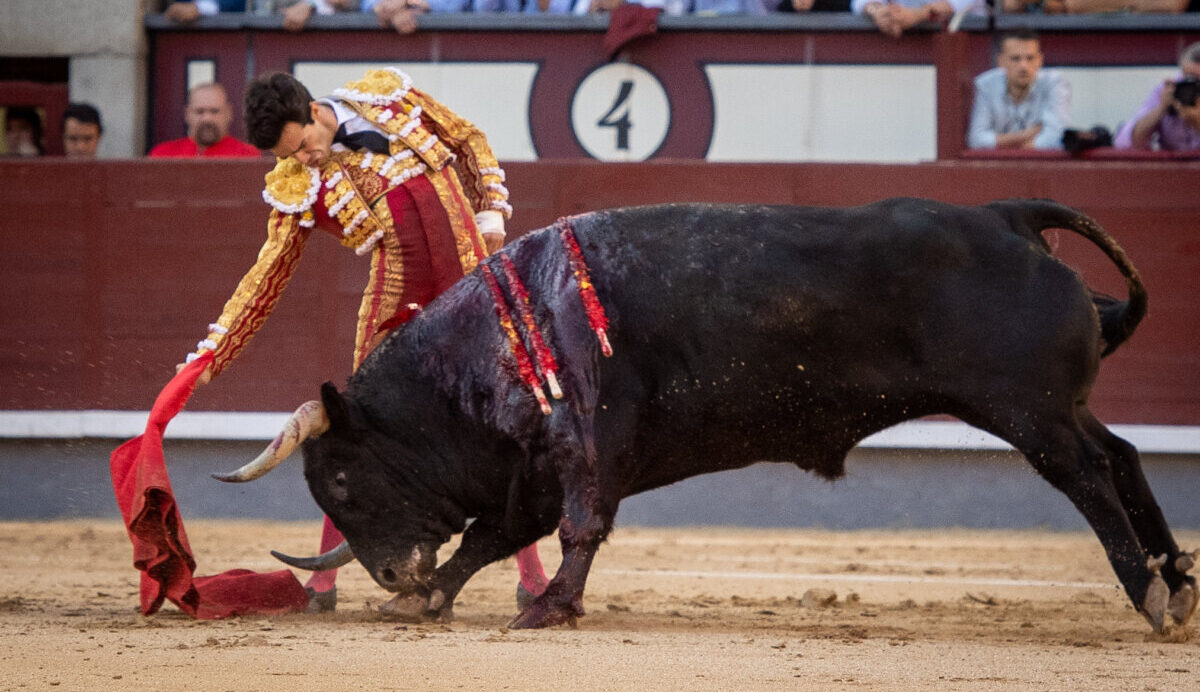 "Tomás Rufo se ha proclamado definitivamente el rey del temple"