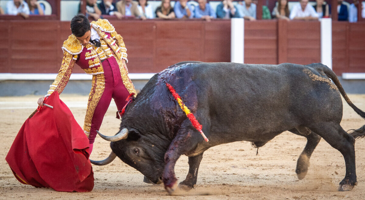 Sergio Serrano pide paso