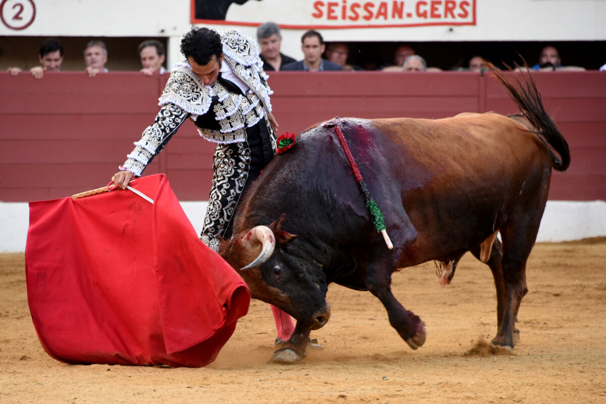 Tarde anodina en Vic-Fezensac